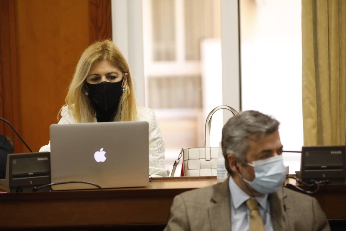 El Pleno de marzo en Córdoba, en imágenes