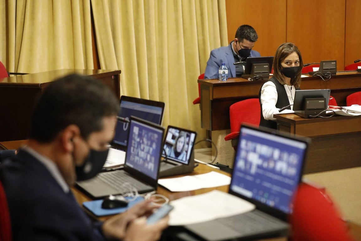 El Pleno de marzo en Córdoba, en imágenes