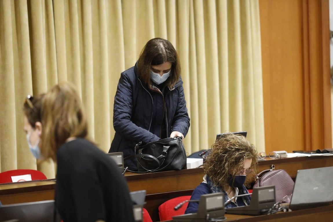 El Pleno de marzo en Córdoba, en imágenes