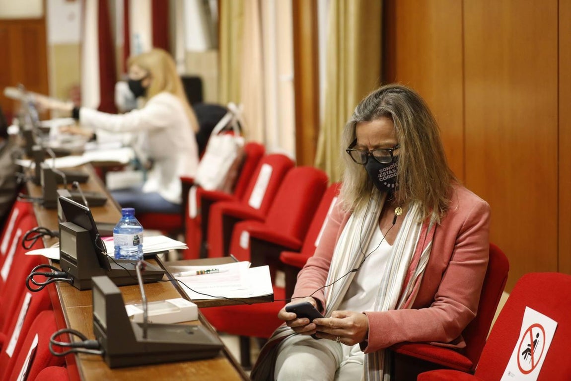 El Pleno de marzo en Córdoba, en imágenes