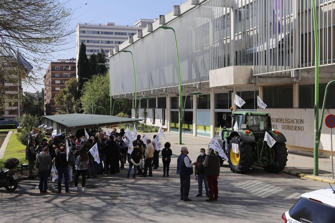 La protesta de los agricultores contra el Gobierno en Córdoba, en imágenes