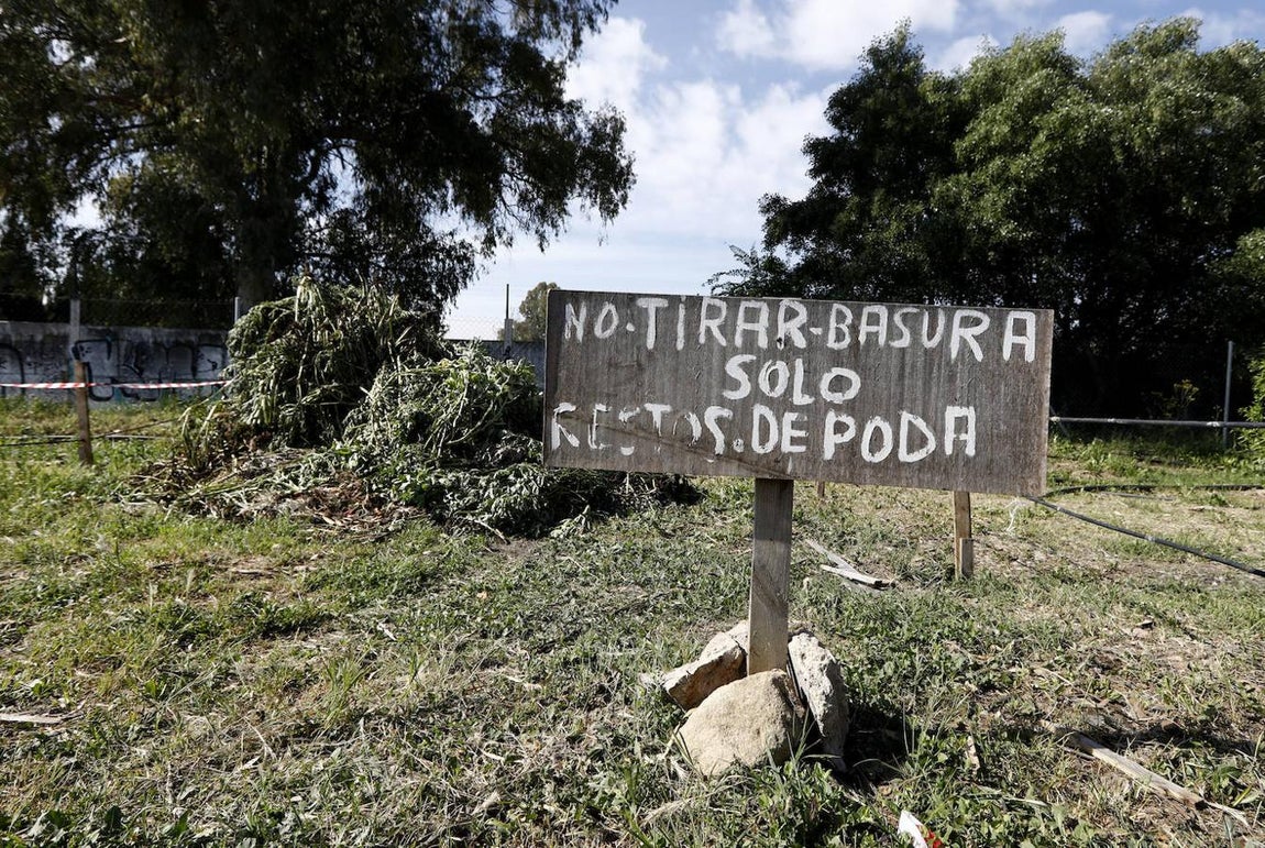 Los huertos urbanos de Córdoba, en imágenes