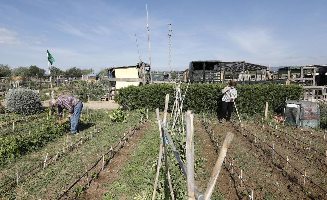 Los huertos urbanos de Córdoba, en imágenes
