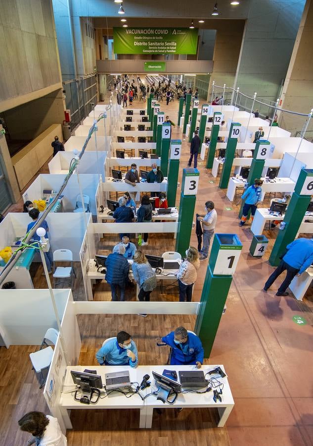 Vacunación masiva en el estadio de la Cartuja