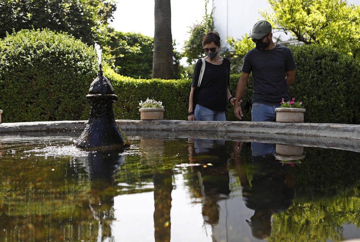 Patios de Córdoba 2021 | El Palacio de Viana, en imágenes