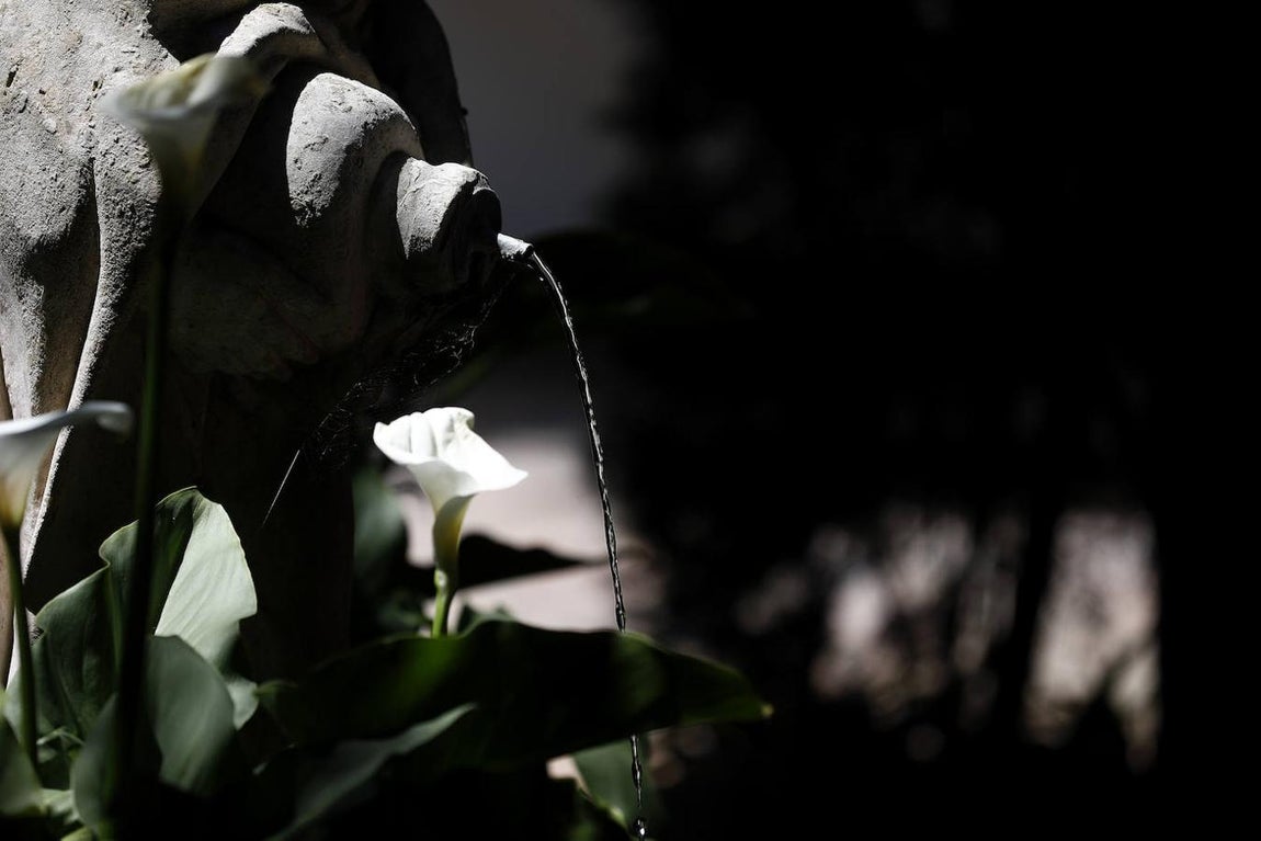 Patios de Córdoba 2021 | El Palacio de Viana, en imágenes