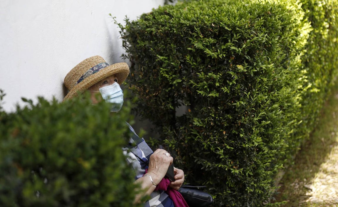 Patios de Córdoba 2021 | El Palacio de Viana, en imágenes