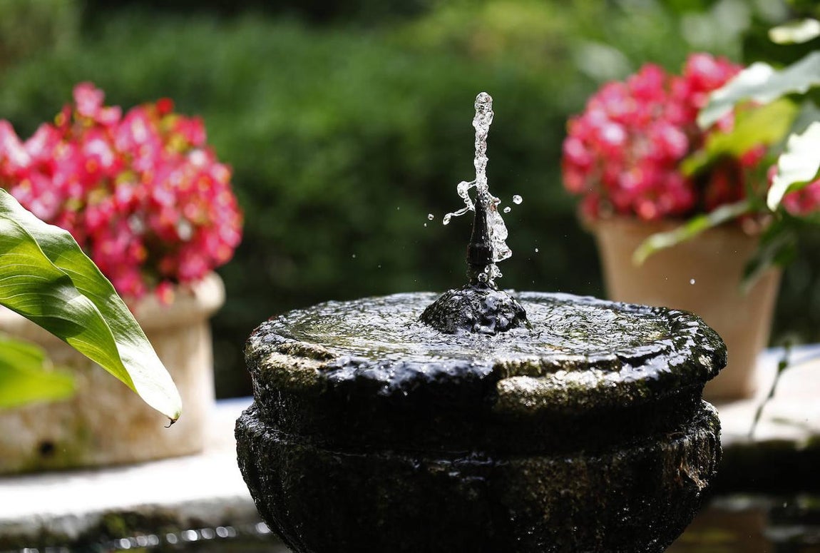 Patios de Córdoba 2021 | El Palacio de Viana, en imágenes