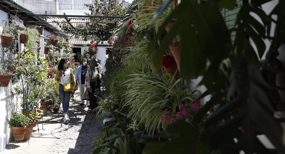 Patios de Córdoba 2021 | Marroquíes, 6, en imágenes