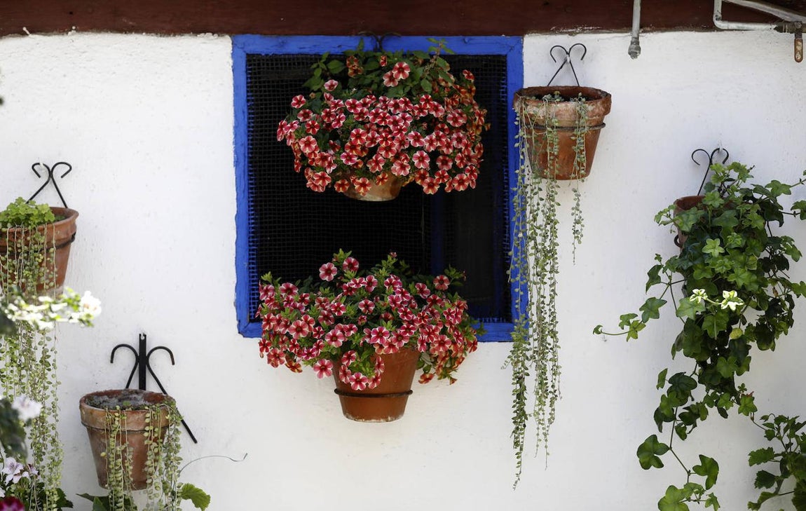 Patios de Córdoba 2021 | Marroquíes, 6, en imágenes