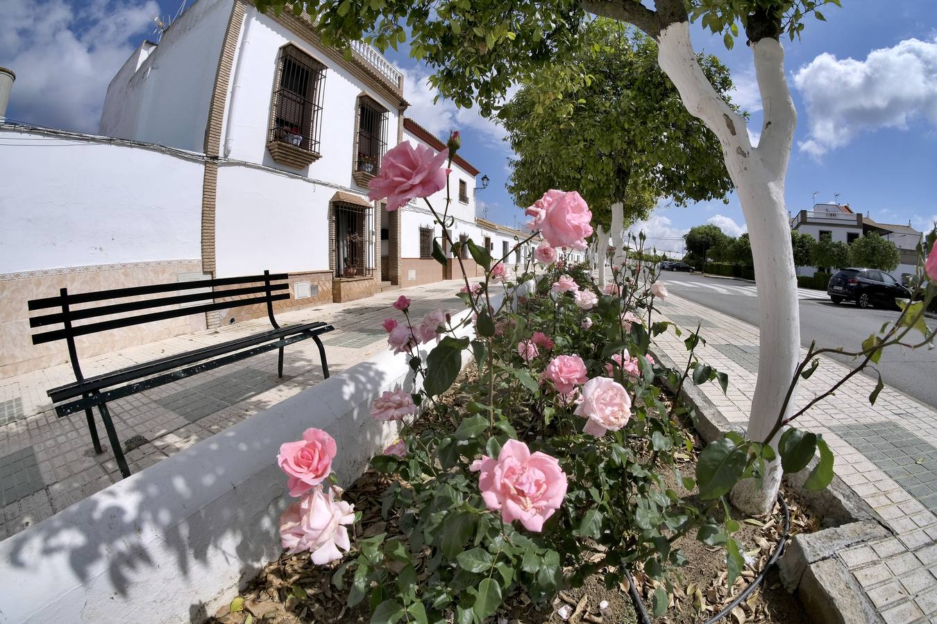 Poblados andaluces de colonización: centinelas del patrimonio rural olvidado