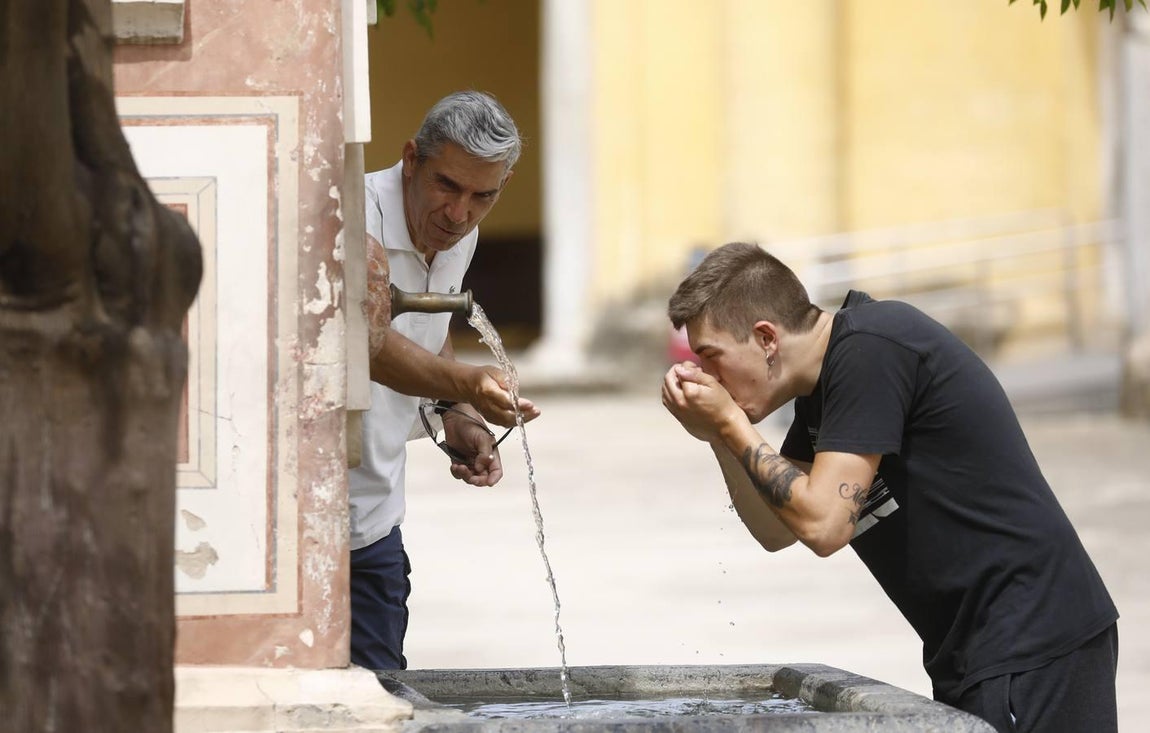 Córdoba llega ya a los 40 grados, en imágenes