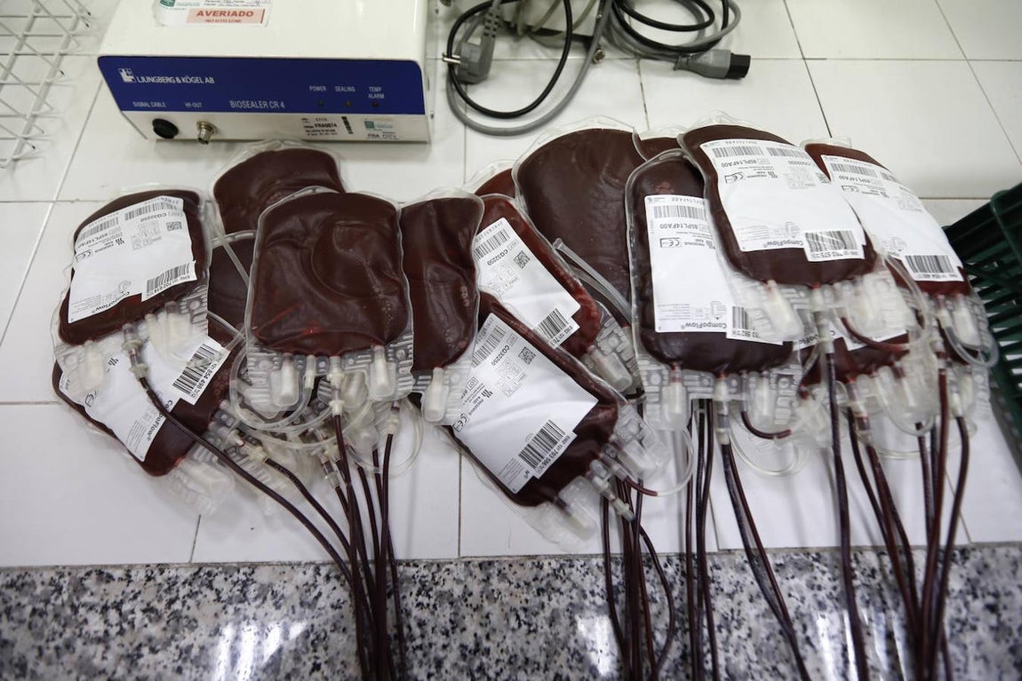 El trabajo en el Centro de Transfusión de Córdoba, en imágenes