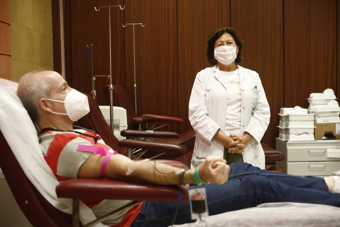 El trabajo en el Centro de Transfusión de Córdoba, en imágenes