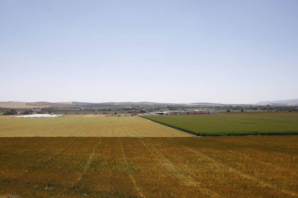 Los terrenos de Córdoba donde irá la Base Logística del Ejército, en imágenes
