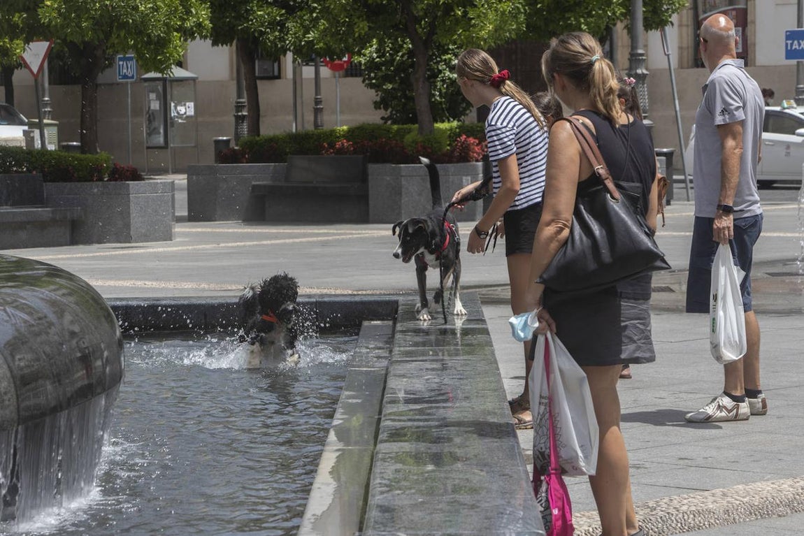 La primera jornada de la ola de calor en Córdoba, en imágenes