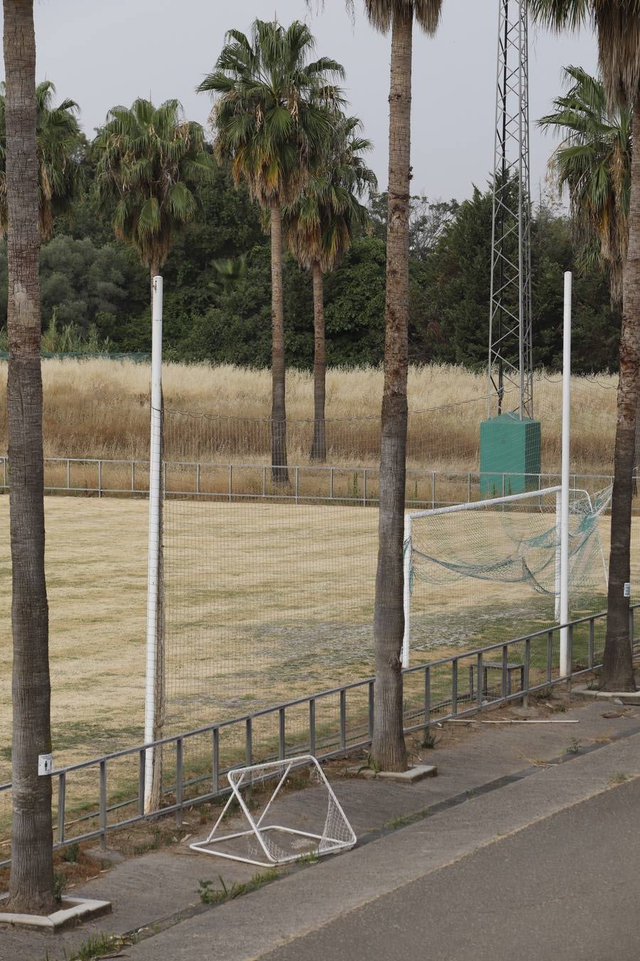 El mal estado de la Ciudad deportiva del Córdoba, en imágenes