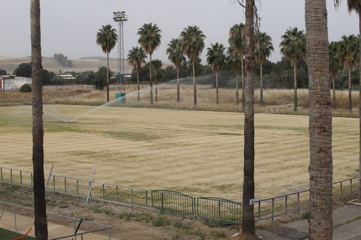 El mal estado de la Ciudad deportiva del Córdoba, en imágenes