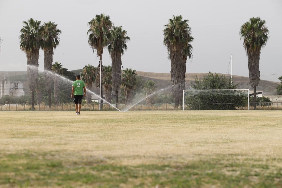 El mal estado de la Ciudad deportiva del Córdoba, en imágenes