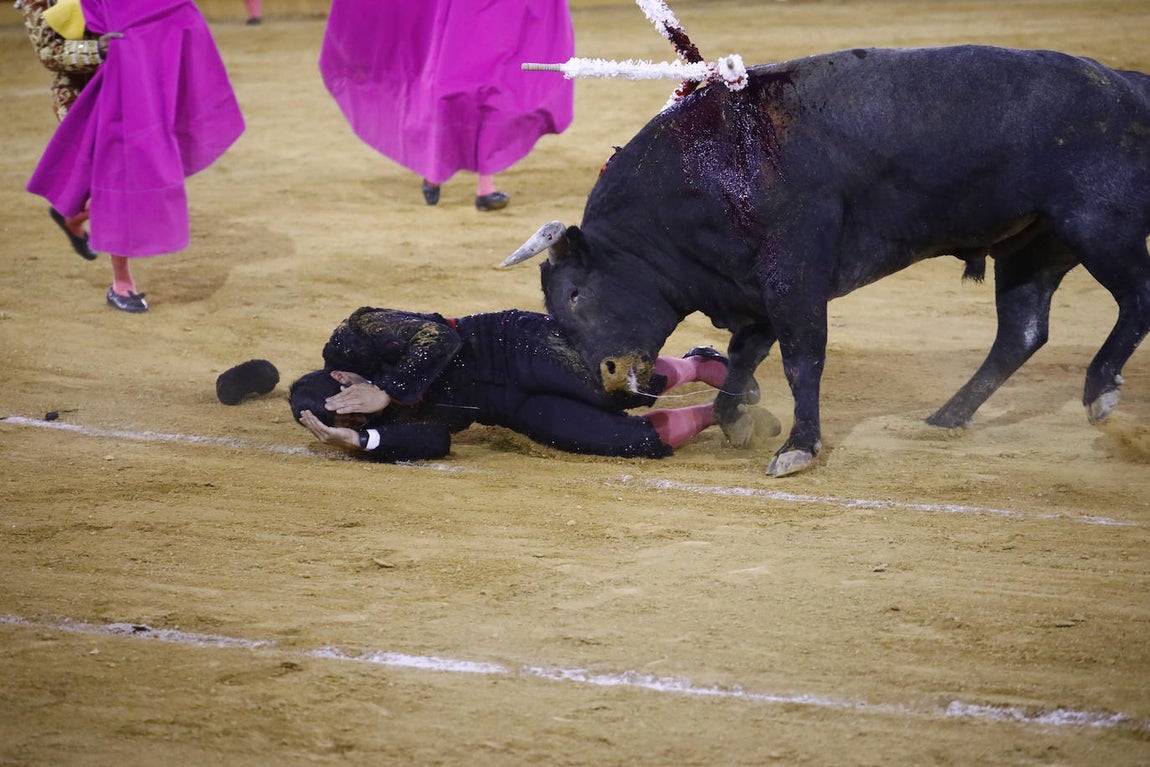 La corrida de toros en Priego de Córdoba, en imágenes