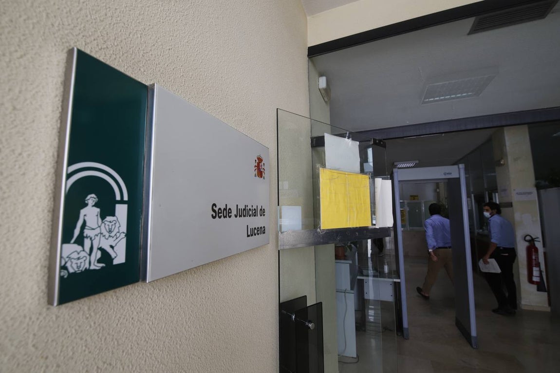 Perro mata niño en Lucena | En imágenes, el ambiente en una ciudad consternada