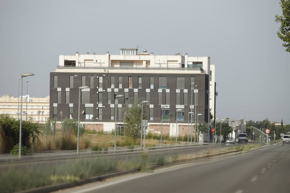 Perro mata niño en Lucena | En imágenes, el ambiente en una ciudad consternada
