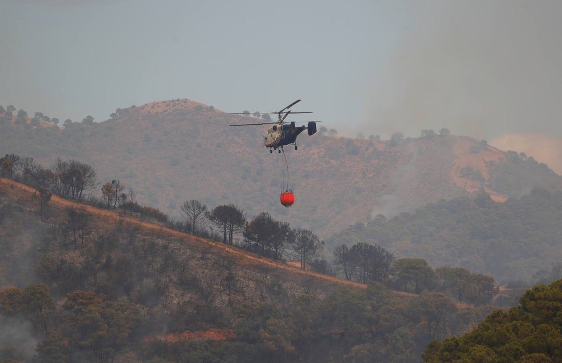 Incendio en Sierra Bermeja