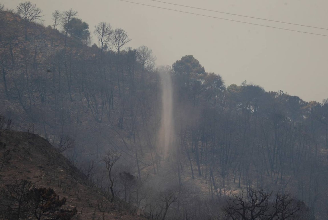 Incendio en Sierra Bermeja