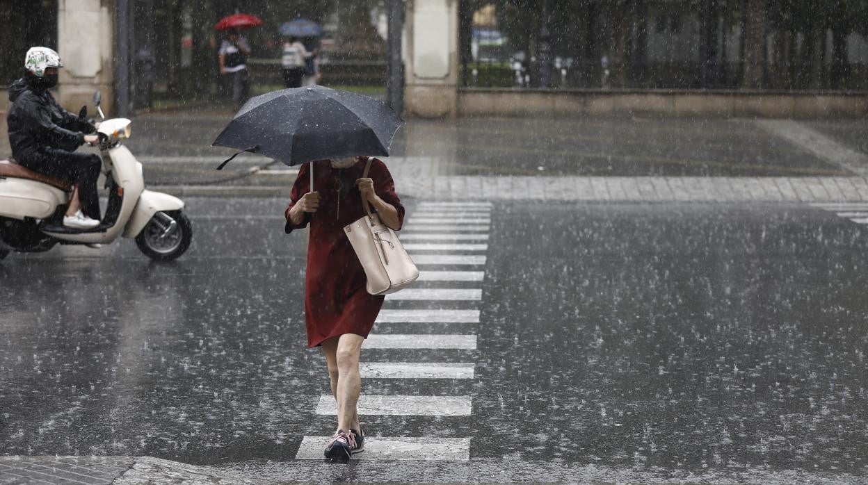 El regreso de las lluvias a Córdoba, en imágenes