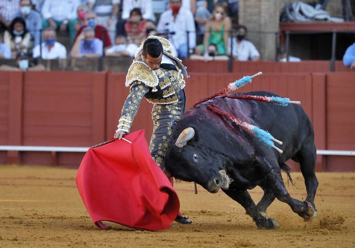 José María Manzanares, en un momento de su faena