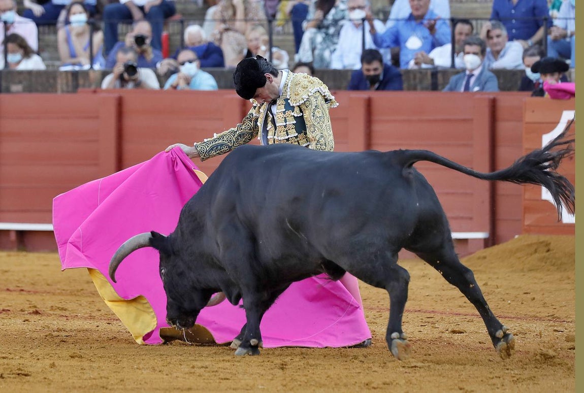 Juan Ortega, el torero sevillano este domingo en la Real Maestranza