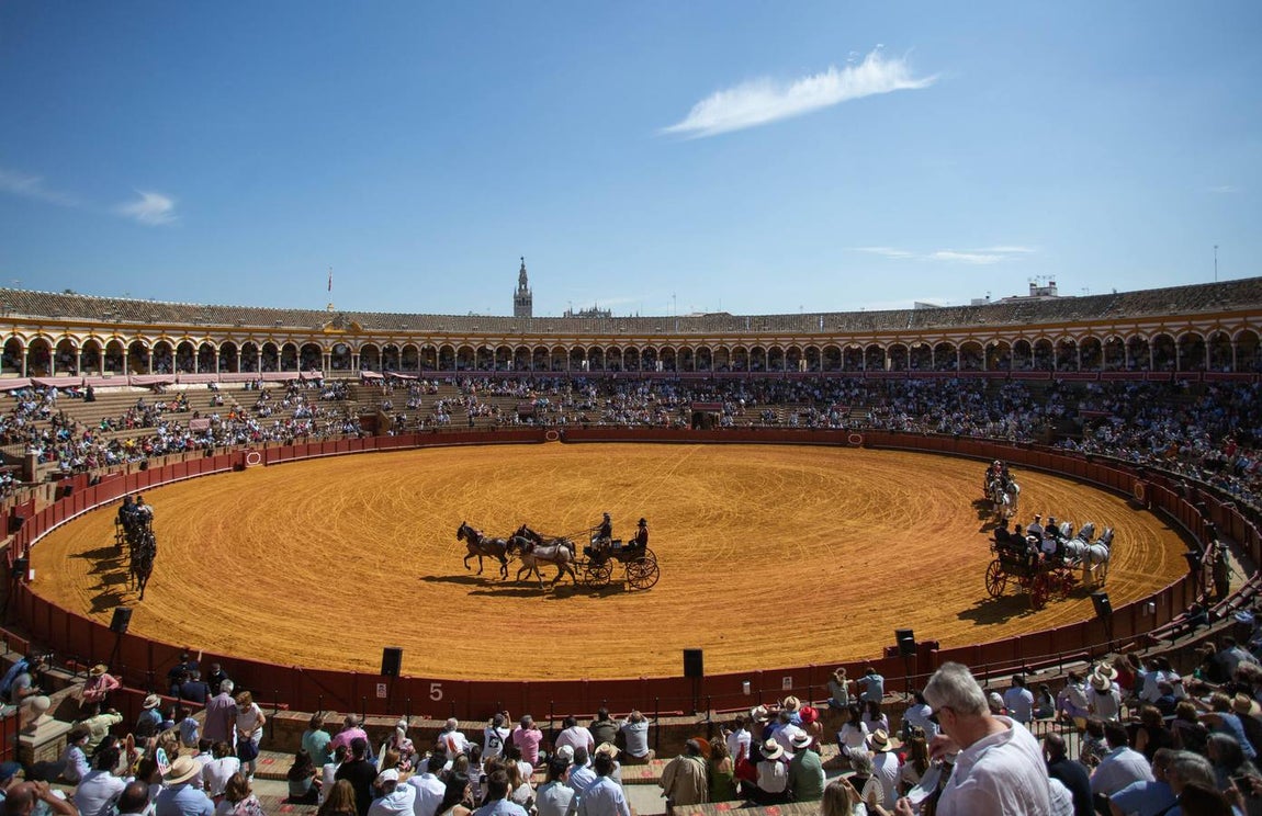 La Exhibición de Enganches vuelve a la Real Maestranza de Sevilla