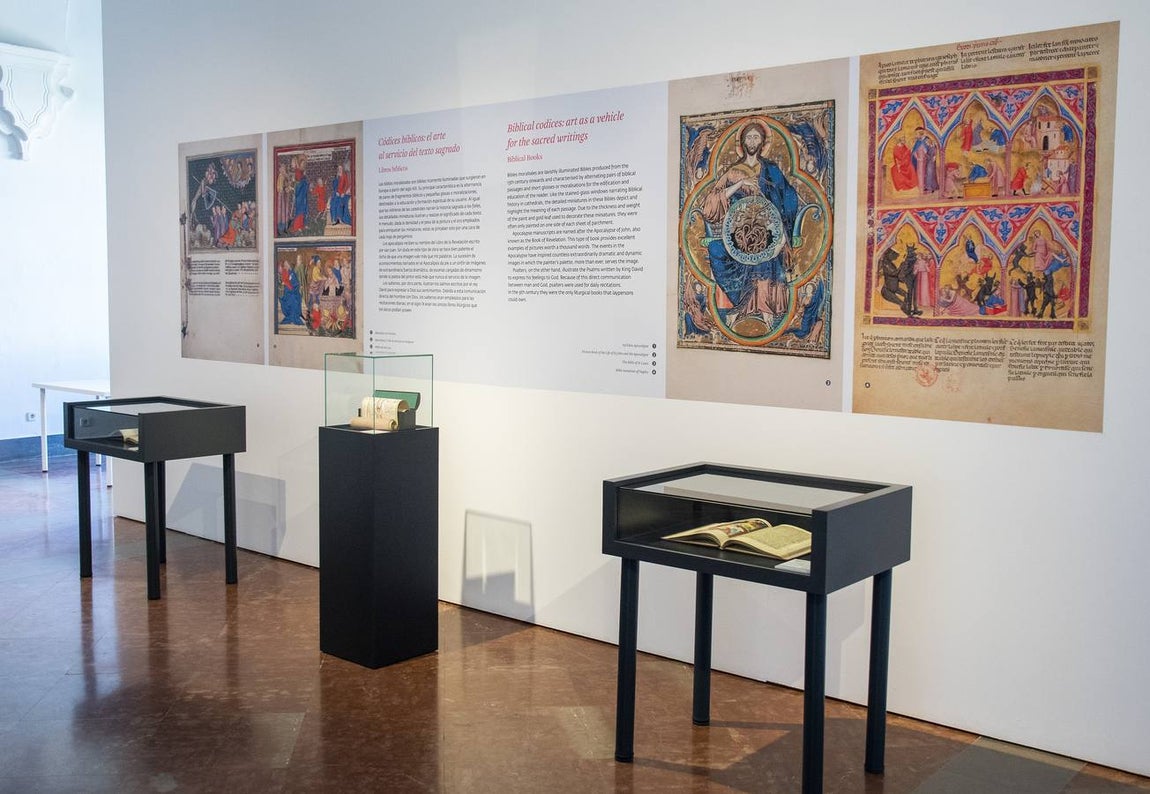 En imágenes, la exposición &#039;Plantas y flores curativas en los códices iluminados (siglos X - XVI)&#039; en el Alcázar de Sevilla