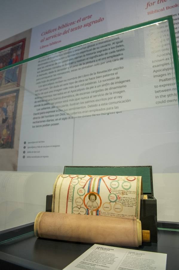 En imágenes, la exposición &#039;Plantas y flores curativas en los códices iluminados (siglos X - XVI)&#039; en el Alcázar de Sevilla