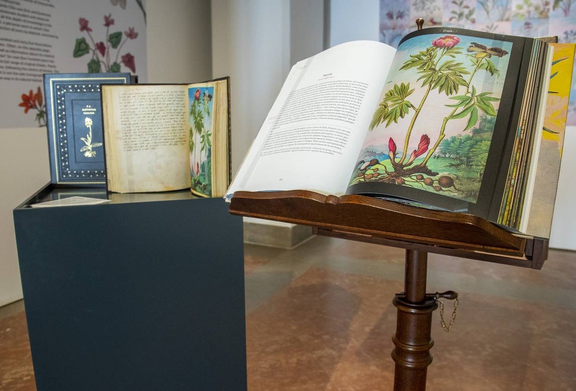En imágenes, la exposición &#039;Plantas y flores curativas en los códices iluminados (siglos X - XVI)&#039; en el Alcázar de Sevilla