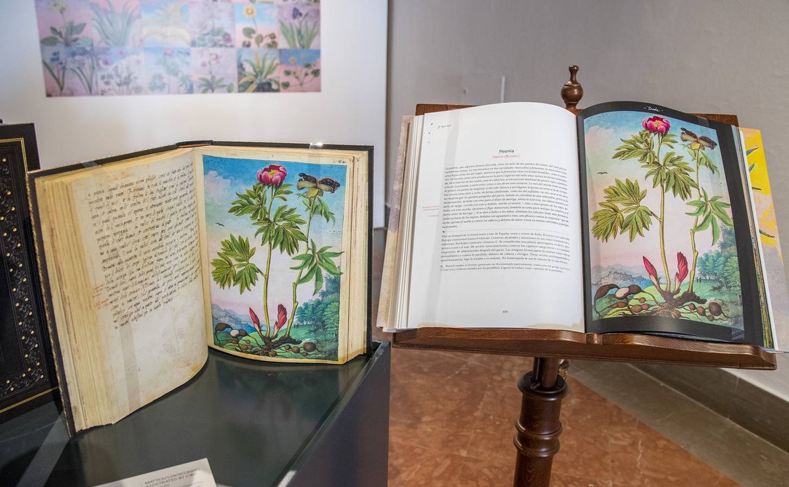 En imágenes, la exposición &#039;Plantas y flores curativas en los códices iluminados (siglos X - XVI)&#039; en el Alcázar de Sevilla