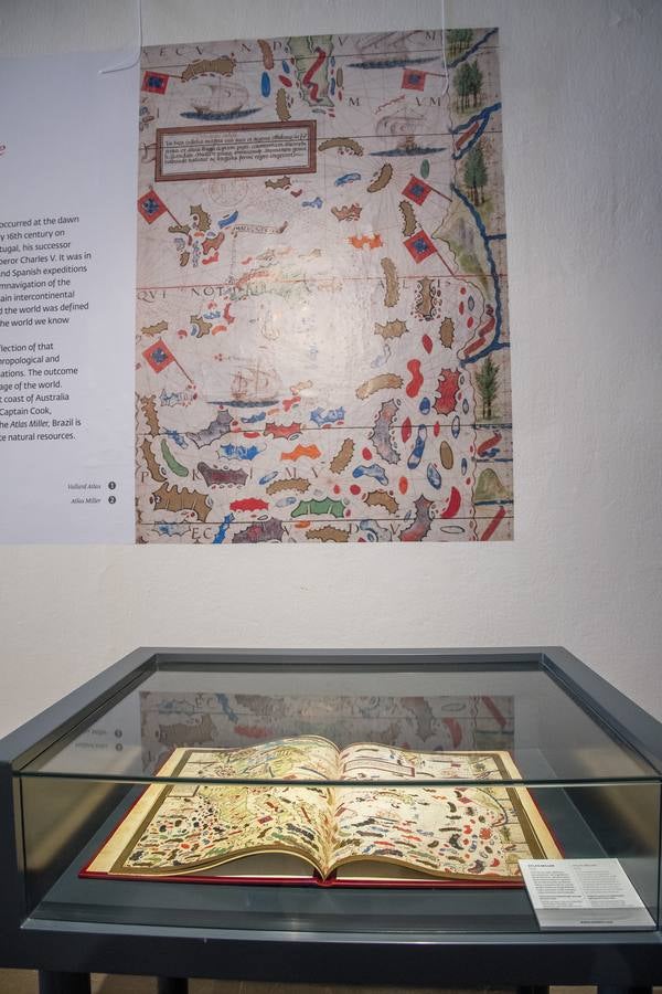 En imágenes, la exposición &#039;Plantas y flores curativas en los códices iluminados (siglos X - XVI)&#039; en el Alcázar de Sevilla