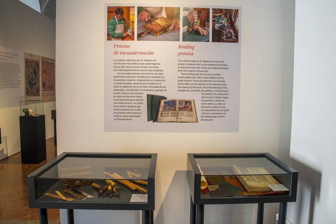 En imágenes, la exposición &#039;Plantas y flores curativas en los códices iluminados (siglos X - XVI)&#039; en el Alcázar de Sevilla