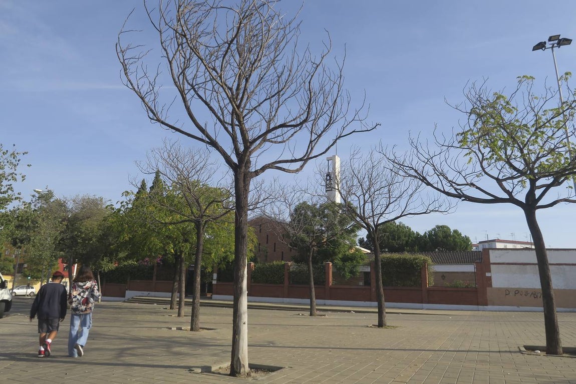 Recorrido, en imágenes, de las calles por las que pasará el Gran Poder en su salida