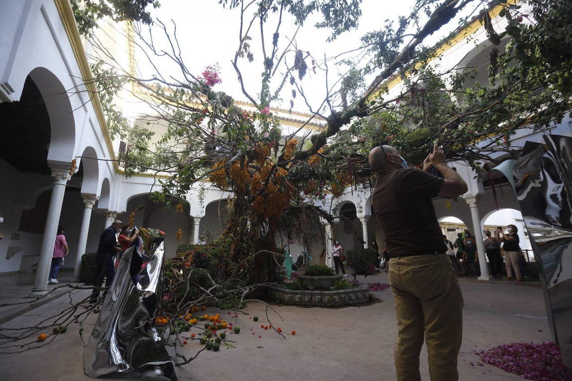 Festival Flora Córdoba | El lleno de la primera jornada en imágenes (II)