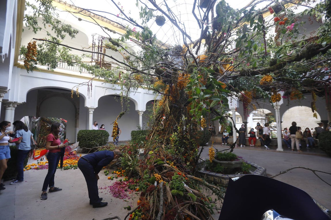 Festival Flora Córdoba | El lleno de la primera jornada en imágenes (II)