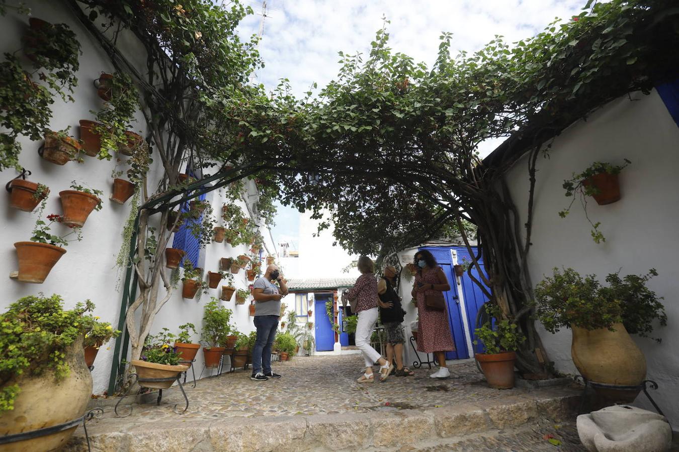 Centenario de los Patios | Córdoba luce en otoño con cualquier color