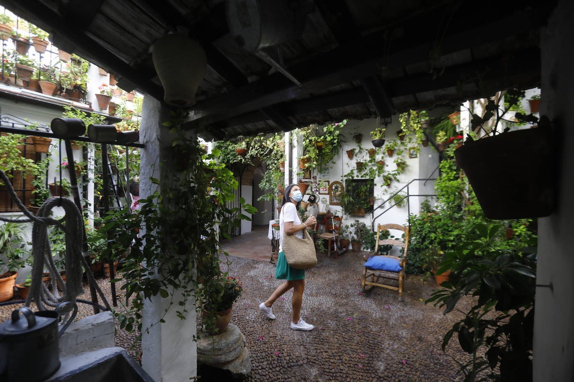 La apertura extraordinaria de los Patios de Córdoba, en imágenes