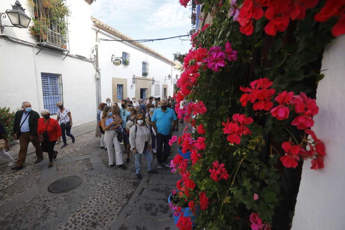 La apertura extraordinaria de los Patios de Córdoba, en imágenes