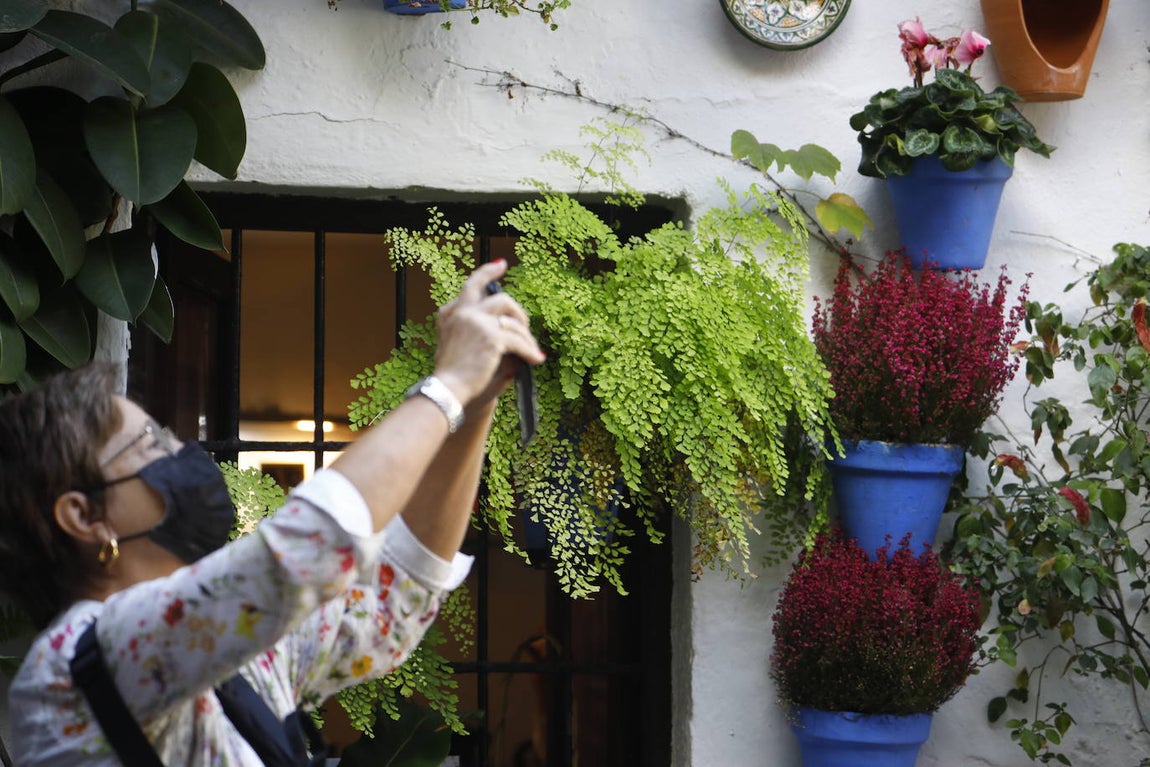 La apertura extraordinaria de los Patios de Córdoba, en imágenes