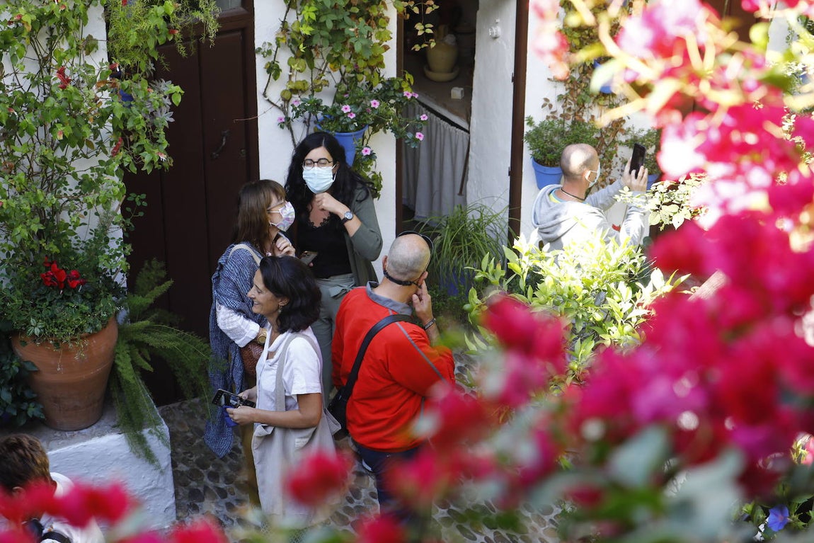 La apertura extraordinaria de los Patios de Córdoba, en imágenes