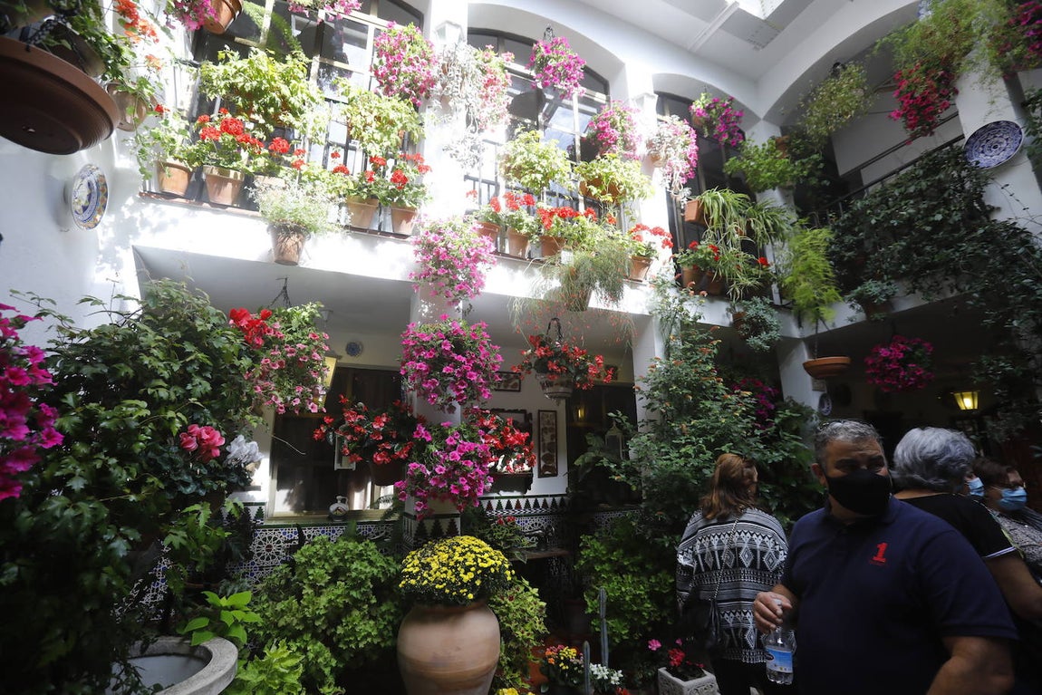 La apertura extraordinaria de los Patios de Córdoba, en imágenes