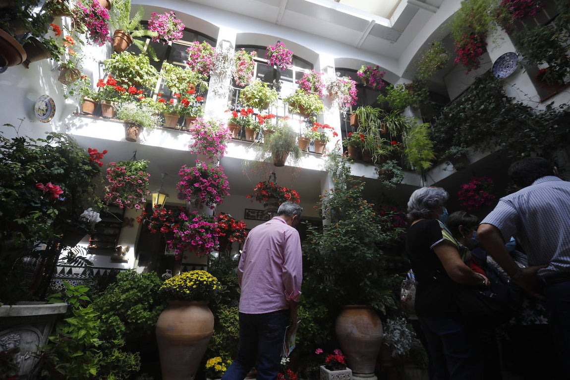 La apertura extraordinaria de los Patios de Córdoba, en imágenes