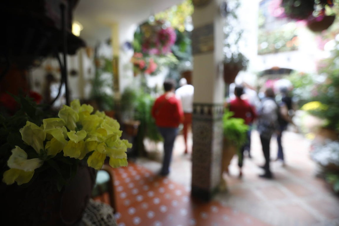 La apertura extraordinaria de los Patios de Córdoba, en imágenes