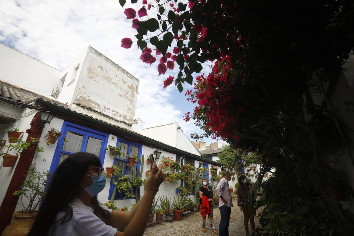 La apertura extraordinaria de los Patios de Córdoba, en imágenes